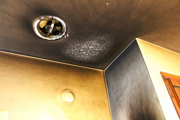 Cost of Smoke Damage Remediation in Clayton